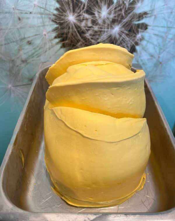 Mango sorbet ijs